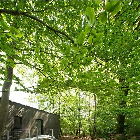 Architektur Eifel Suite17 * Bad Muenstereifel