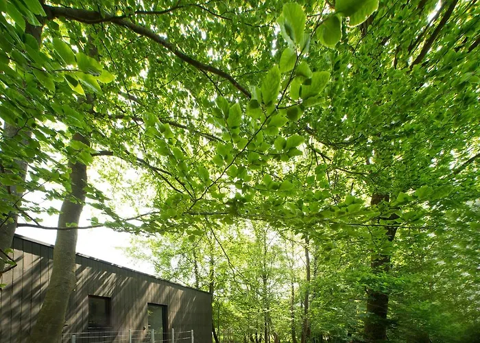 Architektur Eifel Suite17 * Bad Muenstereifel